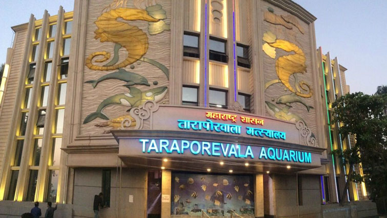 Taraporevala-Aquarium